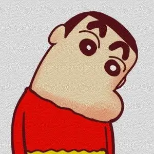 用户 泡菜味的猫 的头像